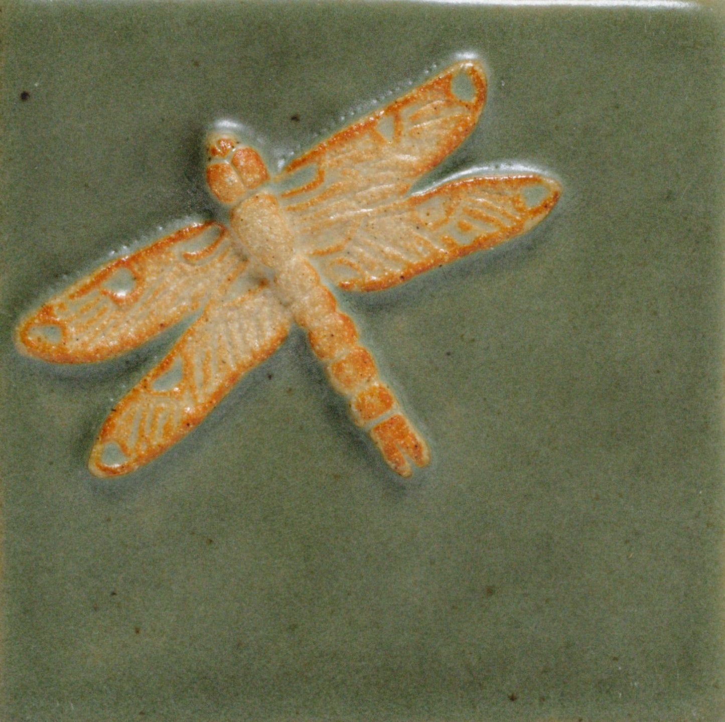 Dragonfly - 4"x4" Tile