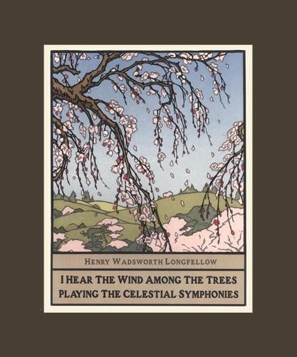 Cherry Blossoms - Wisdom of Trees Series