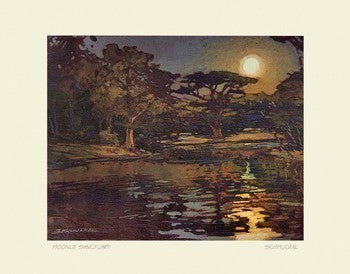 Moonlit Sanctuary