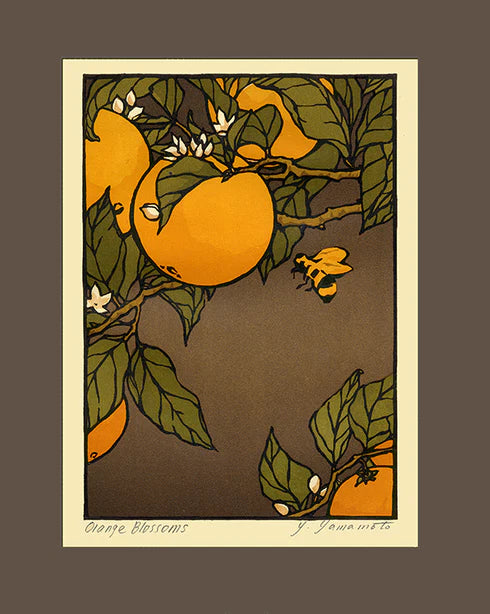 Orange Blossoms (Giclée)