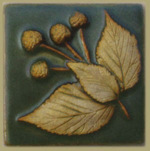 Raspberry - 4"x4" Tile