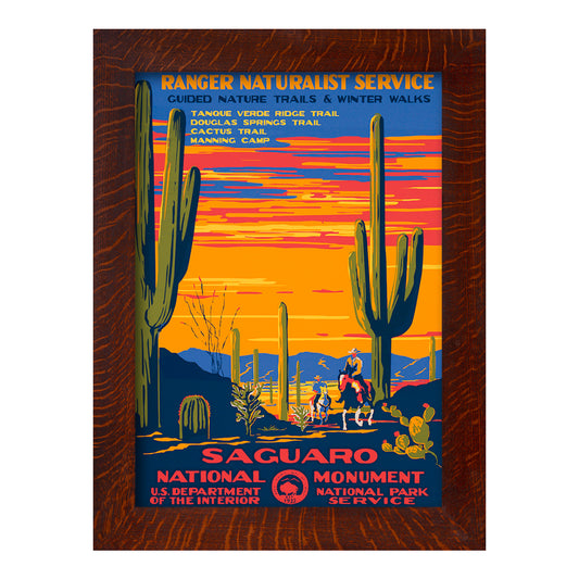 Saguaro National Monument