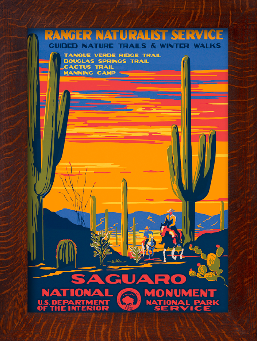 Saguaro National Monument